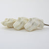 T-Rex Knob  Drawer Pulls and Cabinet Knobs