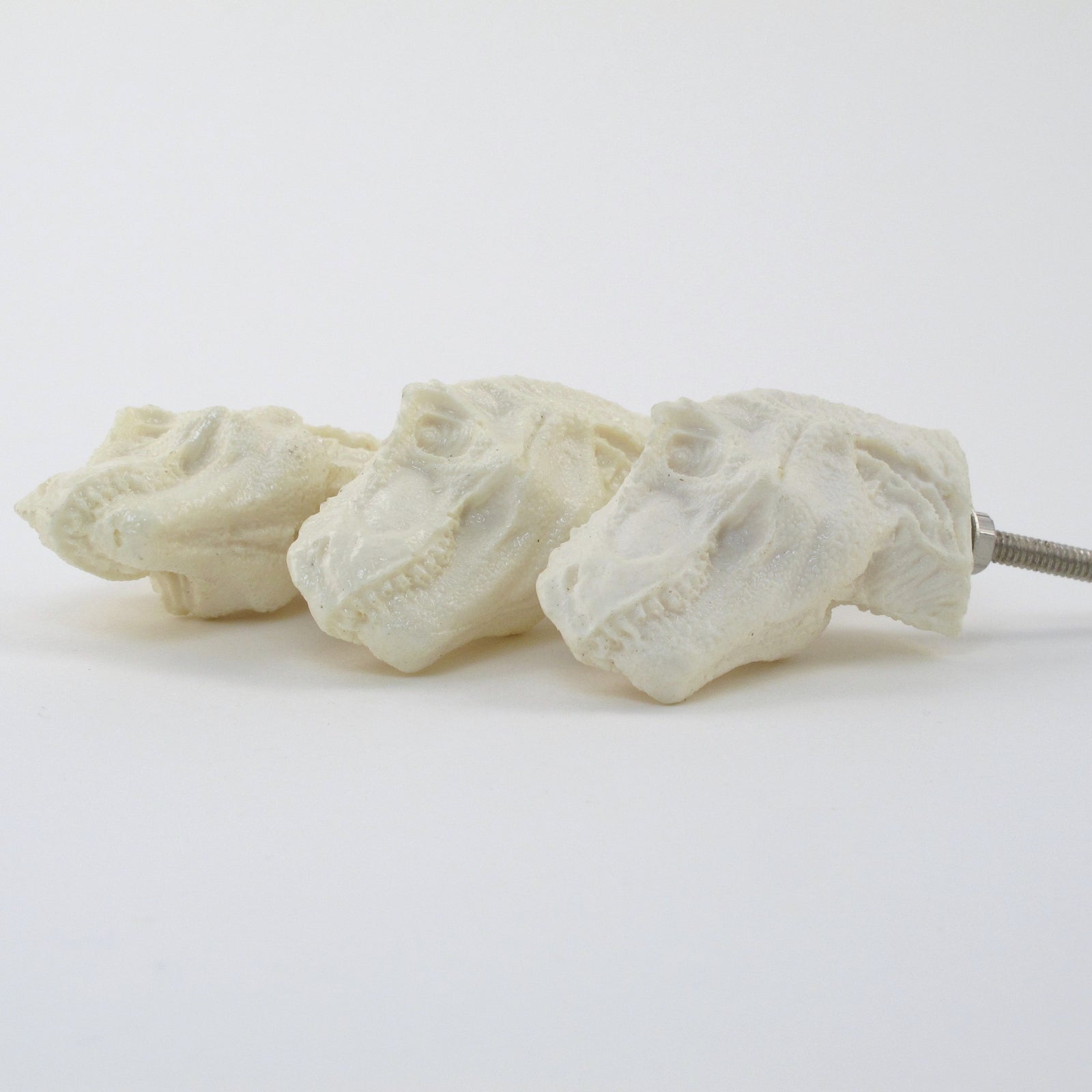 T-Rex Knob  Drawer Pulls and Cabinet Knobs