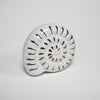 Nautilus Seashell Knob  Drawer Pulls and Cabinet Knobs