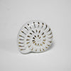 Nautilus Seashell Knob  Drawer Pulls and Cabinet Knobs