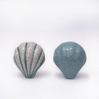 Seashell Knob - White Striped  Drawer Pulls and Cabinet Knobs