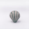 Seashell Knob - White Striped  Drawer Pulls and Cabinet Knobs