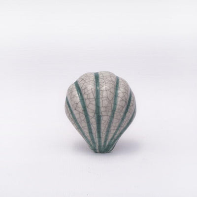 Seashell Knob - White Striped  Drawer Pulls and Cabinet Knobs