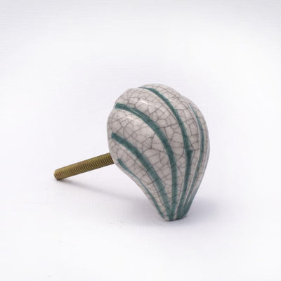 Seashell Knob - White Striped  Drawer Pulls and Cabinet Knobs